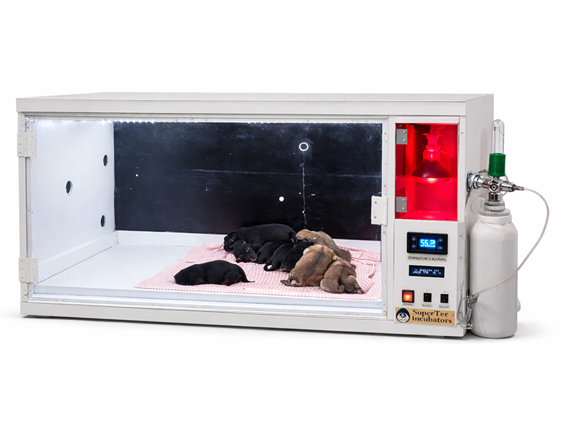 Puppy Incubator
