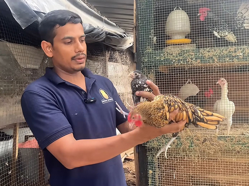 Poultry Consultation