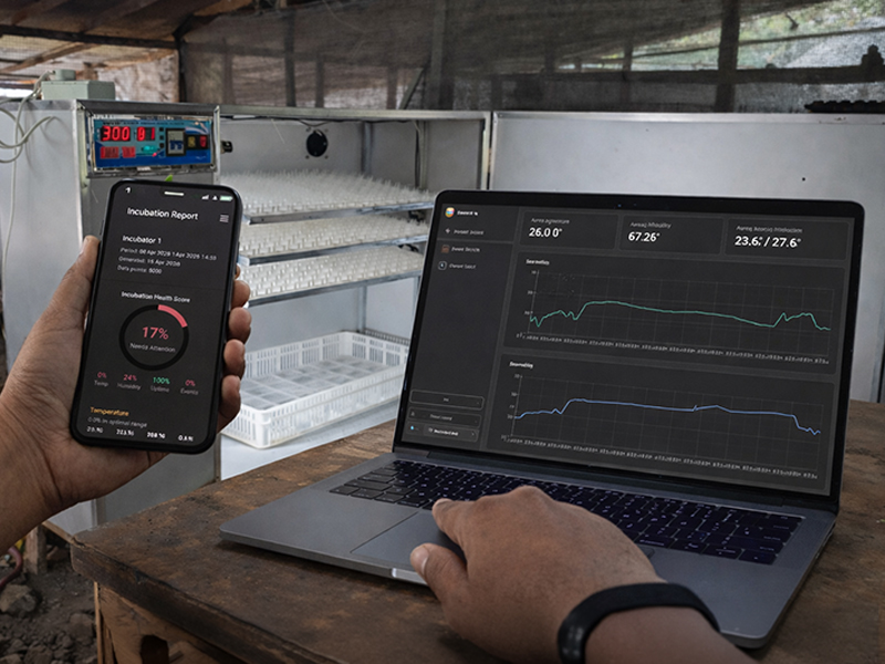 Custom IoT & Software Solutions